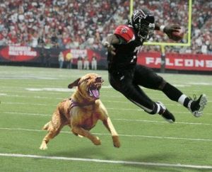 Michael Vick still has those elusive moves, doesn't he?